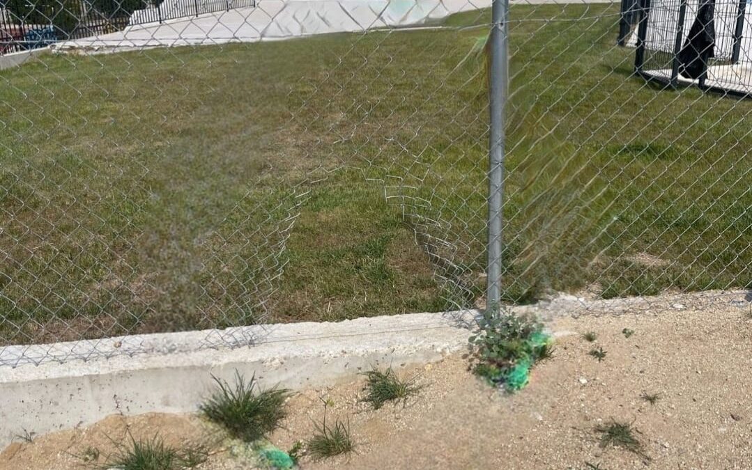 Situación de la piscina de verano