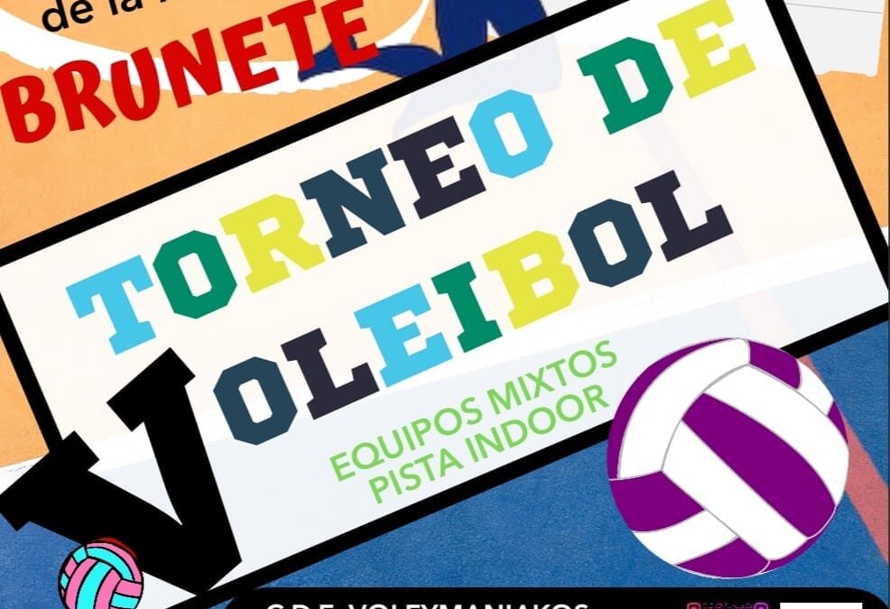 Torneo de Voleibol