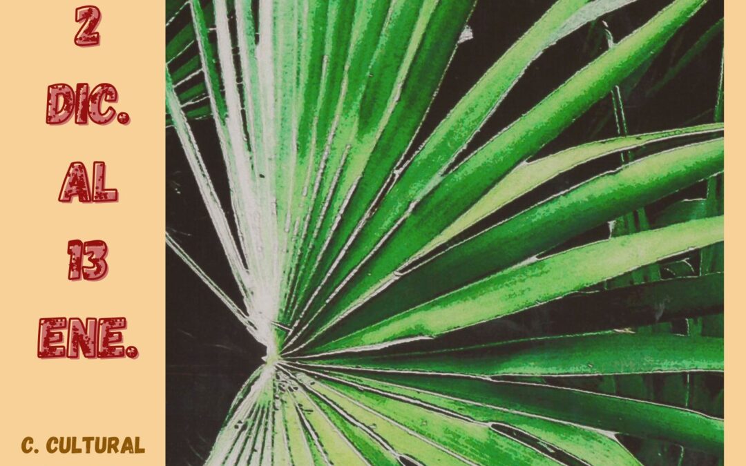 Exposición fotográfica de Felipa Juan