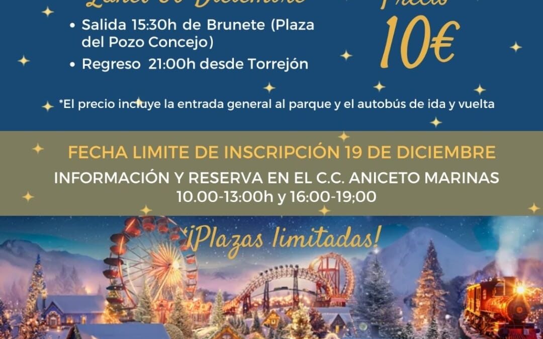 Visita a las Mágicas Navidades